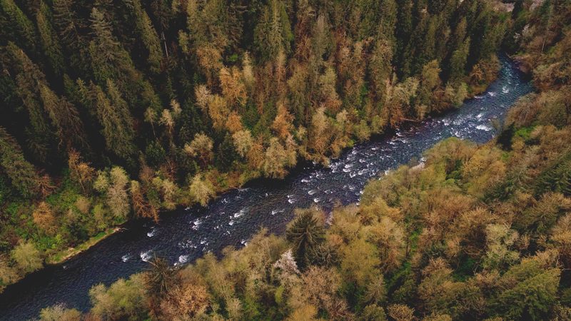 Aerial view of a river winding through forest.